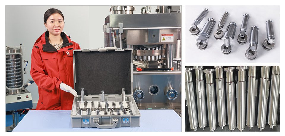 tablet press dies tablet press molds